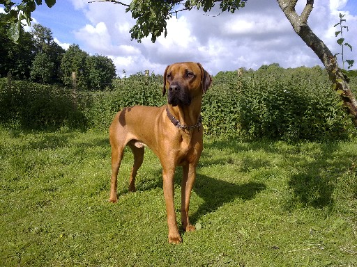Gaius 24 months old Gaius 24 months old