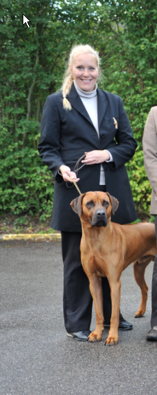 Rhodesian Ridgeback