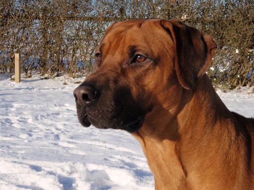Gaius 20 måneder gammel Gaius 20 måneder gammel