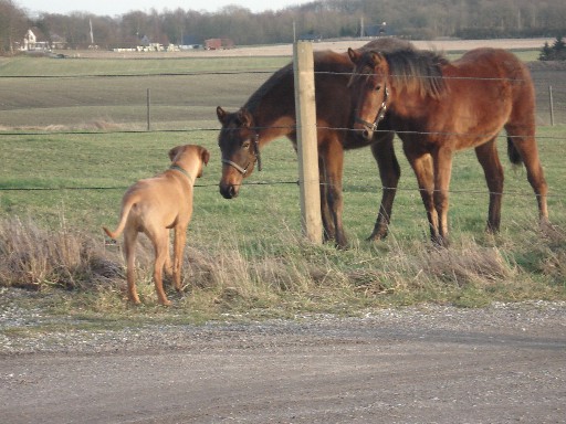 Gaius 6 måneder gammel