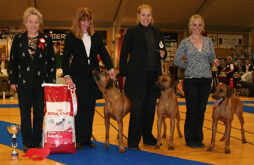 Opdrætsklasse Rhodesian Ridgeback BIS Hedensted